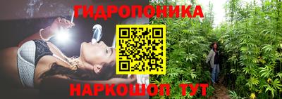 прущие грибы Бузулук