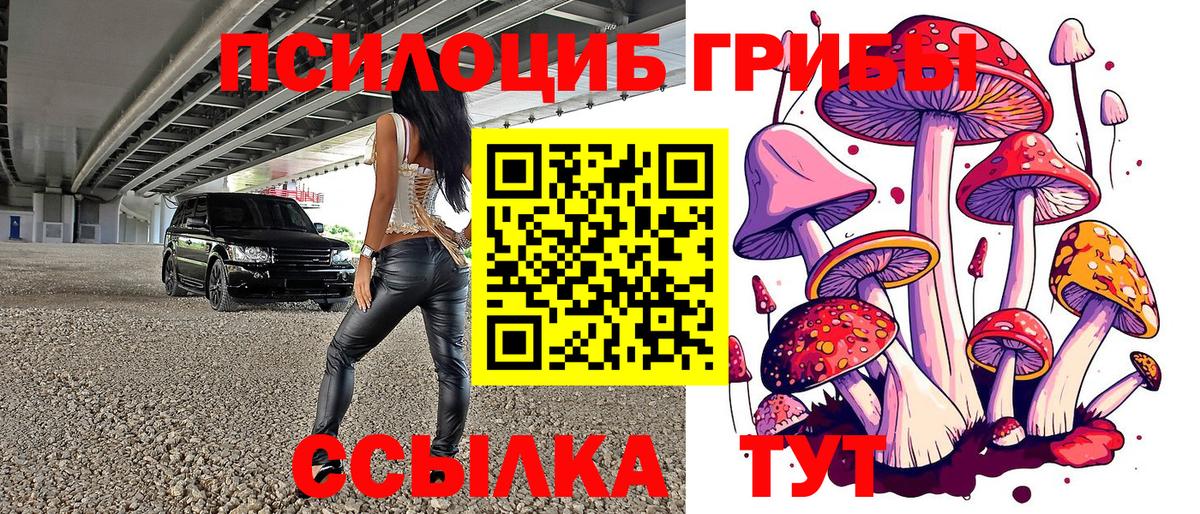 Галлюциногенные грибы Psilocybine cubensis Шарыпово